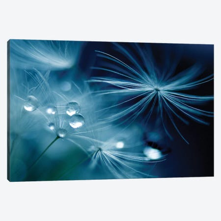 Soft Touch Canvas Print #OXM6561} by Adriana K.H. Canvas Artwork