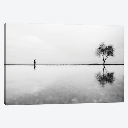 Untitled Canvas Print #OXM6577} by Ali Ayer Canvas Art