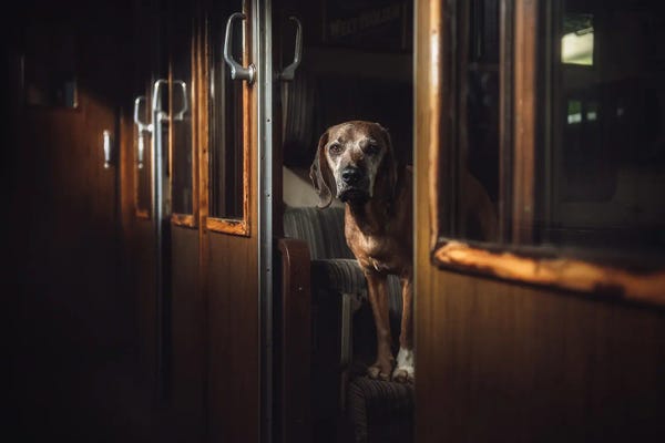 Trains: First Class by Heike Willers