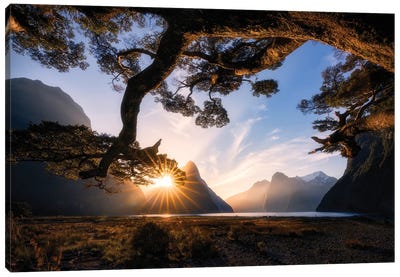Sunny Day In Milford Sound Canvas Art Print