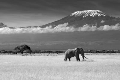 Mount Kilimanjaro