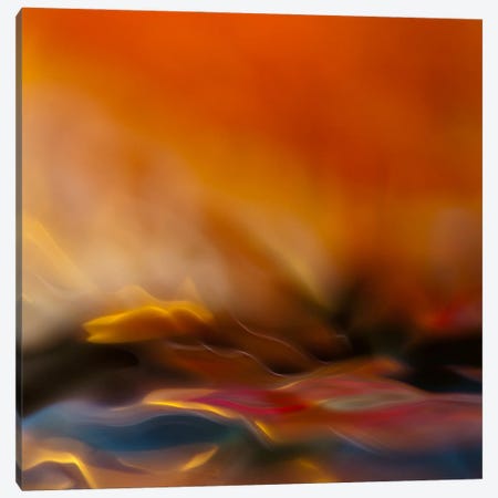 #216 Canvas Print #OXM66} by Willy Marthinussen Canvas Art