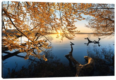 Autumn Morning Canvas Art Print - 1x Scenic Photography
