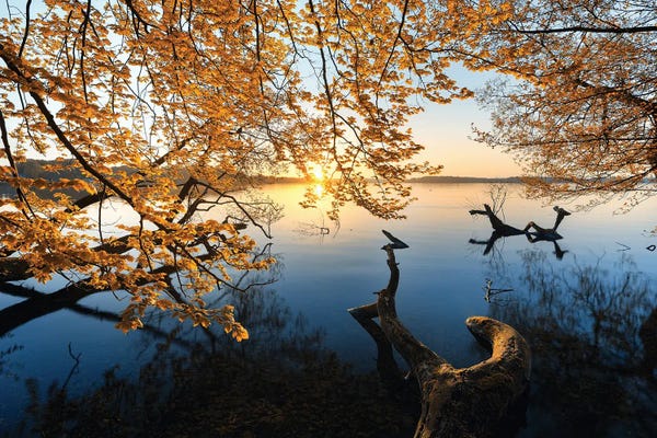 Autumn Morning