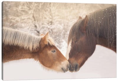 Meeting In The Frozen Valley Canvas Art Print - 1x Collection