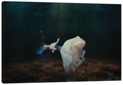 Floating In A Dream Canvas Art Print