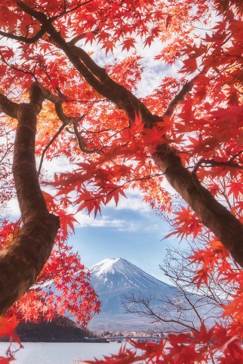 Mt. Fuji Is In The Autumn Leaves