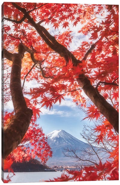 Mt. Fuji Is In The Autumn Leaves Canvas Art Print - 1x Floral and Botanicals
