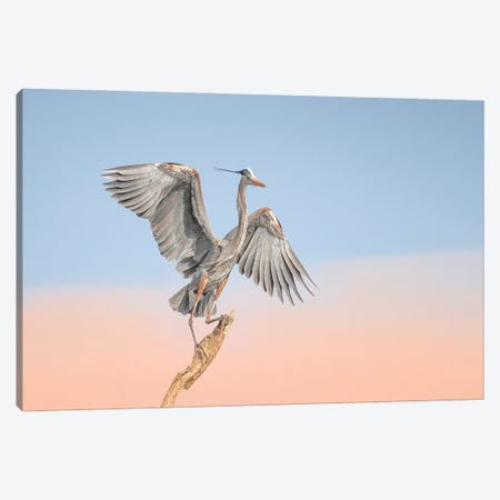 Dancing In The Cloud Canvas Print #OXM6735} by Max Wang Canvas Artwork