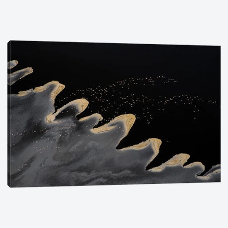 Flying Over The Lake Canvas Print #OXM6756} by Phillip Chang Canvas Art