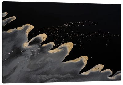 Flying Over The Lake Canvas Art Print