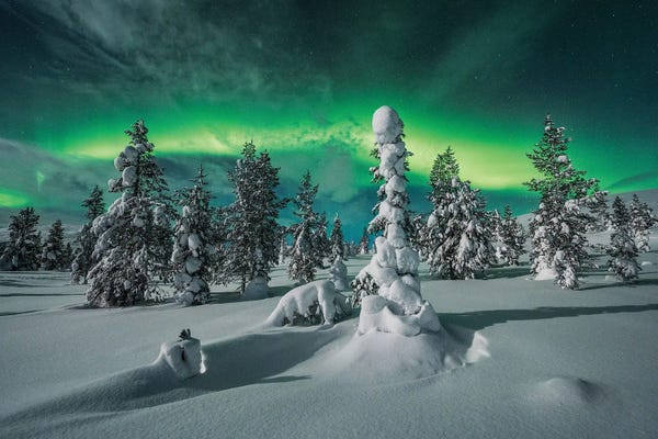 Scenic & Landscapes: Polar Night by Raymond Hoffmann