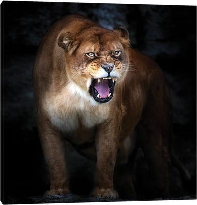 Lion Portrait Canvas Art Print