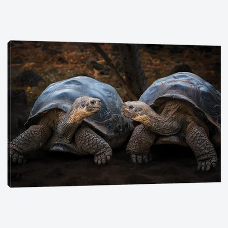 Connection Canvas Print #OXM6803} by Siyu And Wei Art Print