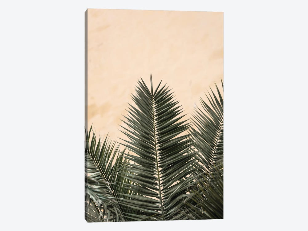Palm Leaves And Wall 1 by 1x Studio III 1-piece Canvas Art