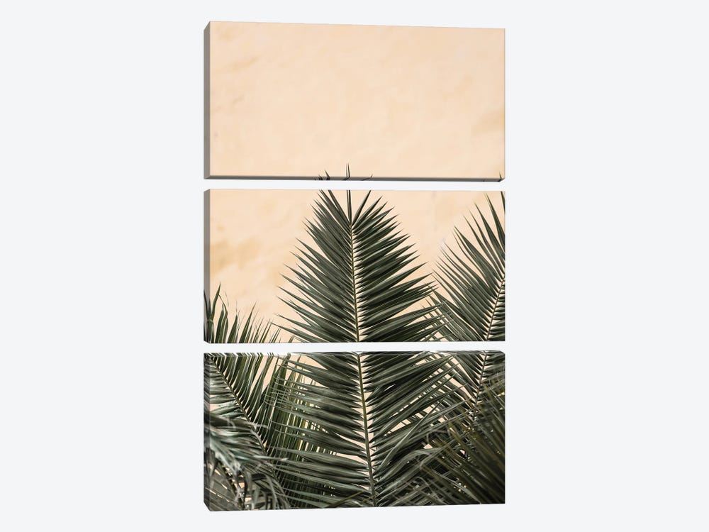 Palm Leaves And Wall 1 by 1x Studio III 3-piece Canvas Wall Art