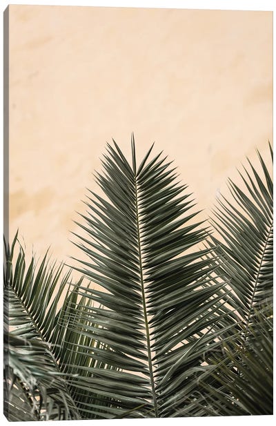 Palm Leaves And Wall 1 Canvas Art Print - 1x Floral and Botanicals