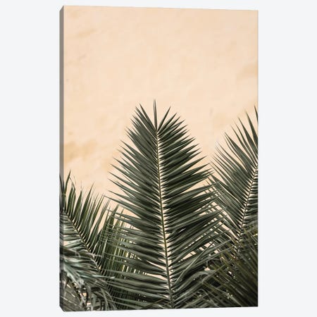 Palm Leaves And Wall 1 Canvas Print #OXM6873} by 1x Studio III Canvas Artwork