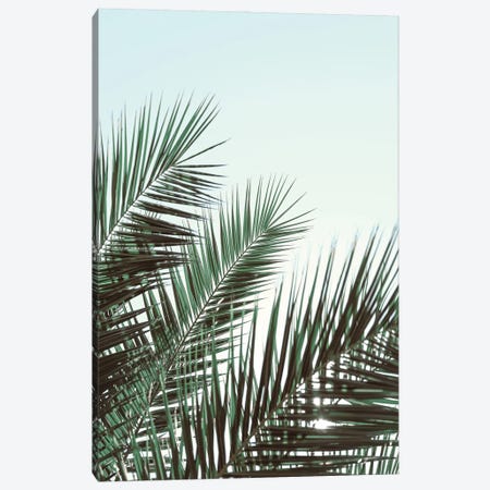 Palm Leaves, Sky 1 Canvas Print #OXM6874} by 1x Studio III Art Print