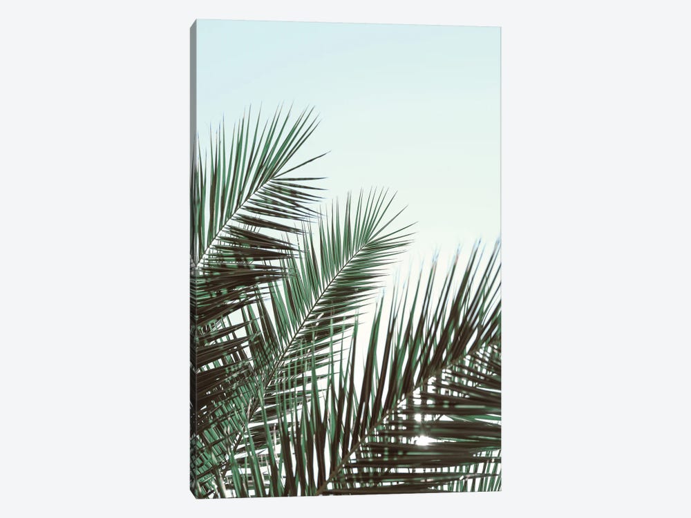 Palm Leaves, Sky 1 by 1x Studio III 1-piece Art Print