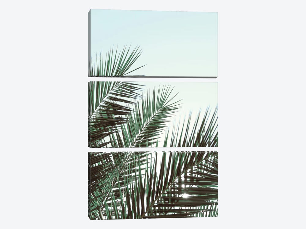 Palm Leaves, Sky 1 by 1x Studio III 3-piece Canvas Print