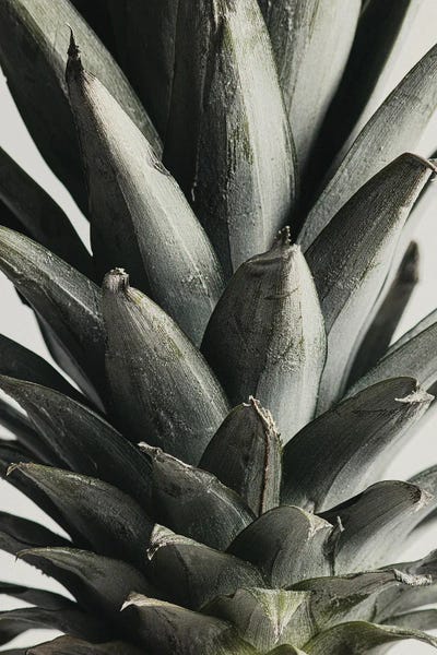 Pineapple Close Up by 1x Studio III art print