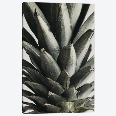 Pineapple Close Up Canvas Print #OXM6875} by 1x Studio III Art Print