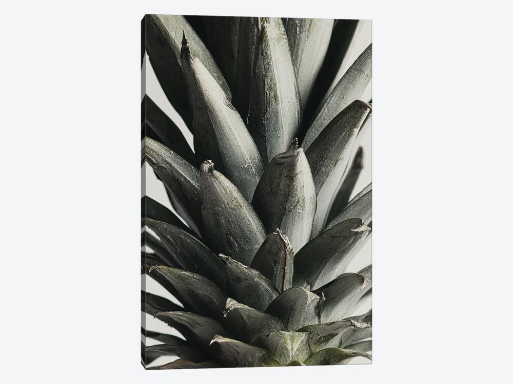 Pineapple Close Up by 1x Studio III 1-piece Canvas Art