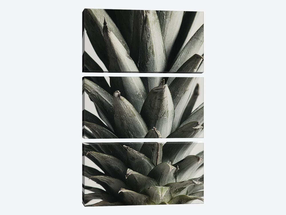 Pineapple Close Up by 1x Studio III 3-piece Canvas Art