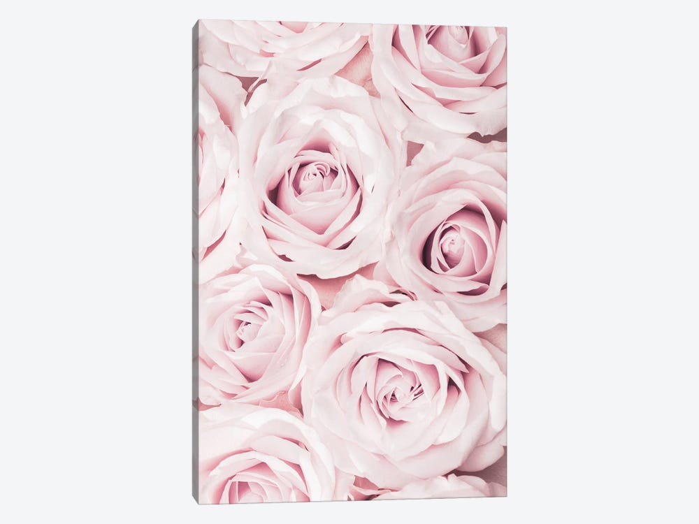 Pink Roses No 02 by 1x Studio III 1-piece Canvas Art