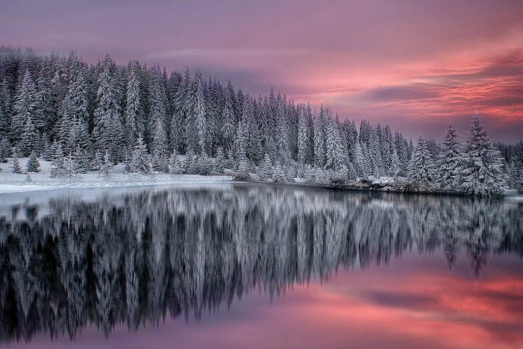 Winter Fairytale