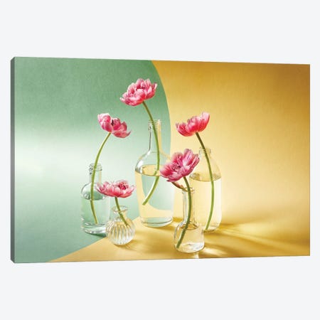 Five Tulips Canvas Print #OXM6885} by Alena Canvas Wall Art