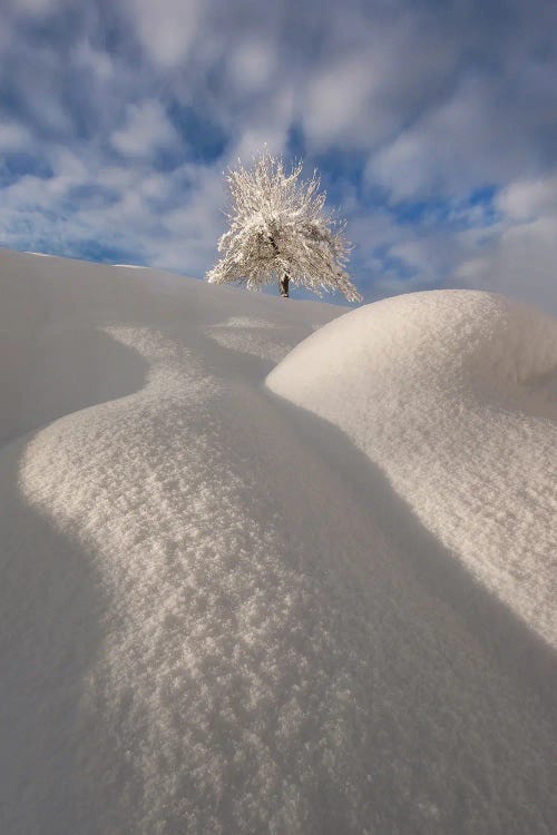 Curves Of A Winter Landscape by Ales Krivec wall art