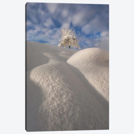 Curves Of A Winter Landscape Canvas Print #OXM6886} by Ales Krivec Canvas Wall Art