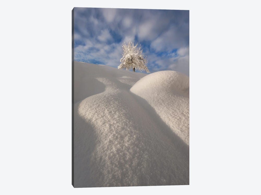 Curves Of A Winter Landscape by Ales Krivec 1-piece Canvas Artwork