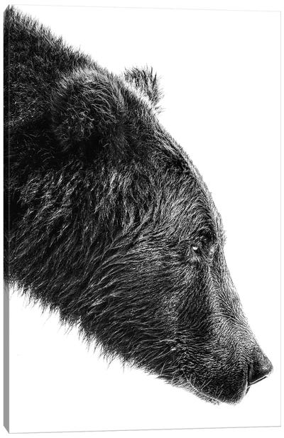The Salmon Catcher Canvas Art Print - Grizzly Bear Art