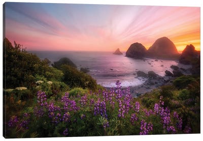 Sister Rocks With Lupin Blooms Canvas Art Print - 1x Scenic Photography