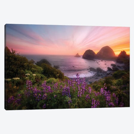 Sister Rocks With Lupin Blooms Canvas Print #OXM6910} by Chong Q. Wu Canvas Art Print