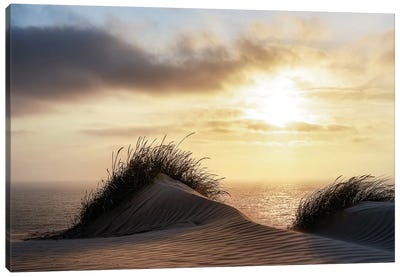 Dune - Denmark Canvas Art Print - Denmark