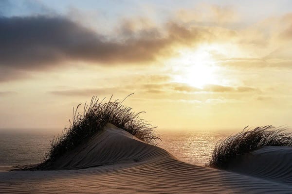 Denmark: Dune - Denmark by Christiane Heggemann