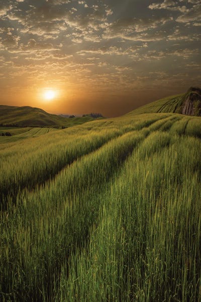 Giclee Features: Tuscany'S Energy by Isam Telhami