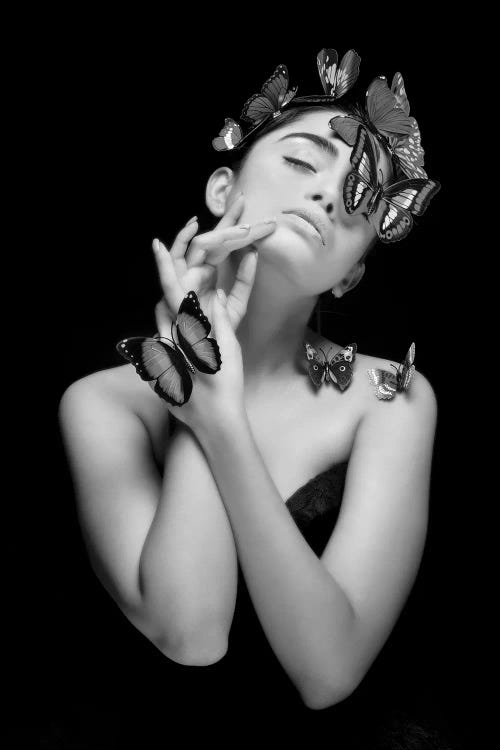 Passion Of Elegance In Monochrome