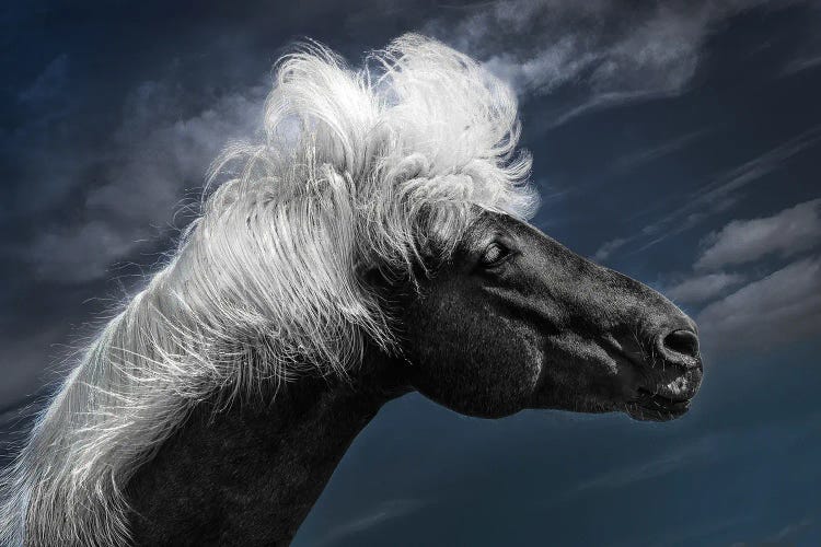 Blowing In The Icelandic Wind by Kenneth Zeng wall art