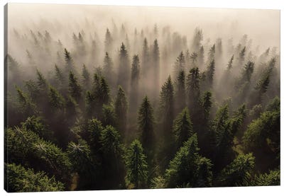 The Army Of Firs Canvas Art Print - 1x Scenic Photography