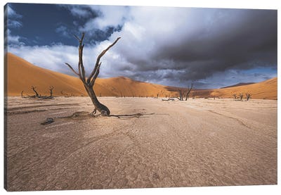 The Past Life Of Deadvlei Canvas Art Print - 1x Scenic Photography
