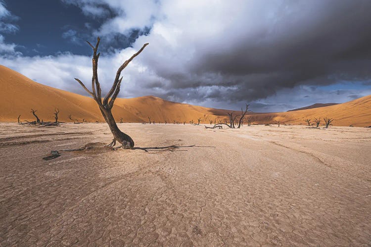 The Past Life Of Deadvlei