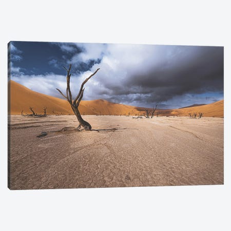 The Past Life Of Deadvlei Canvas Print #OXM6985} by Marco Tagliarino Art Print