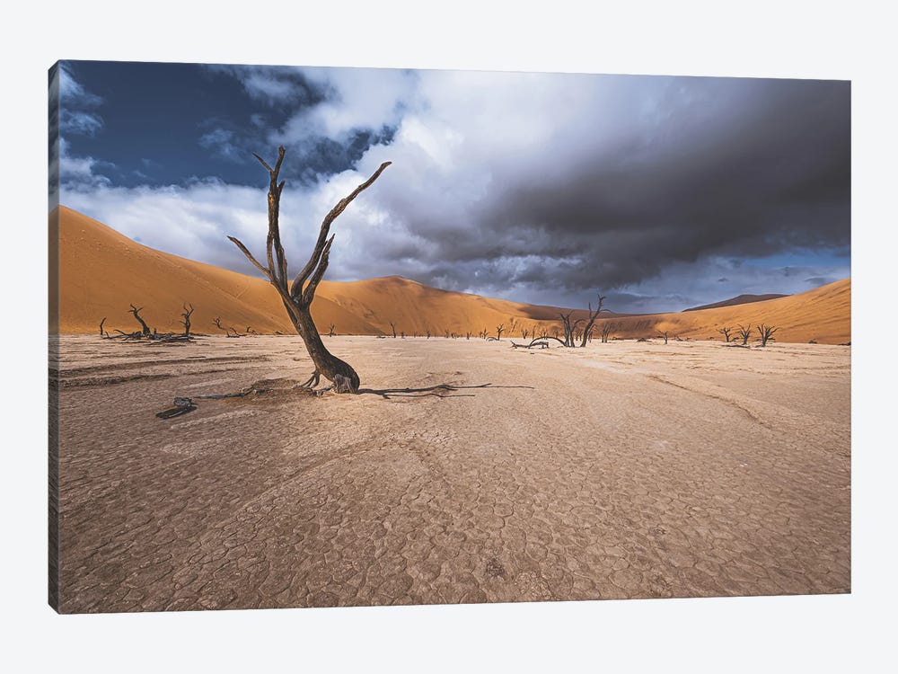The Past Life Of Deadvlei by Marco Tagliarino 1-piece Canvas Wall Art