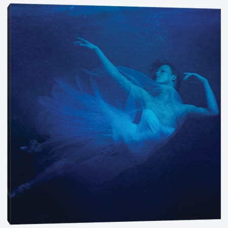 Waterplay Ballet 1 Canvas Print #OXM6996} by Miriana Canvas Wall Art
