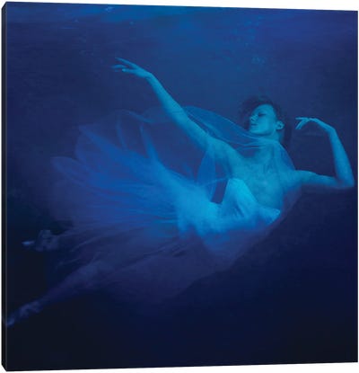 Waterplay Ballet 1 Canvas Art Print